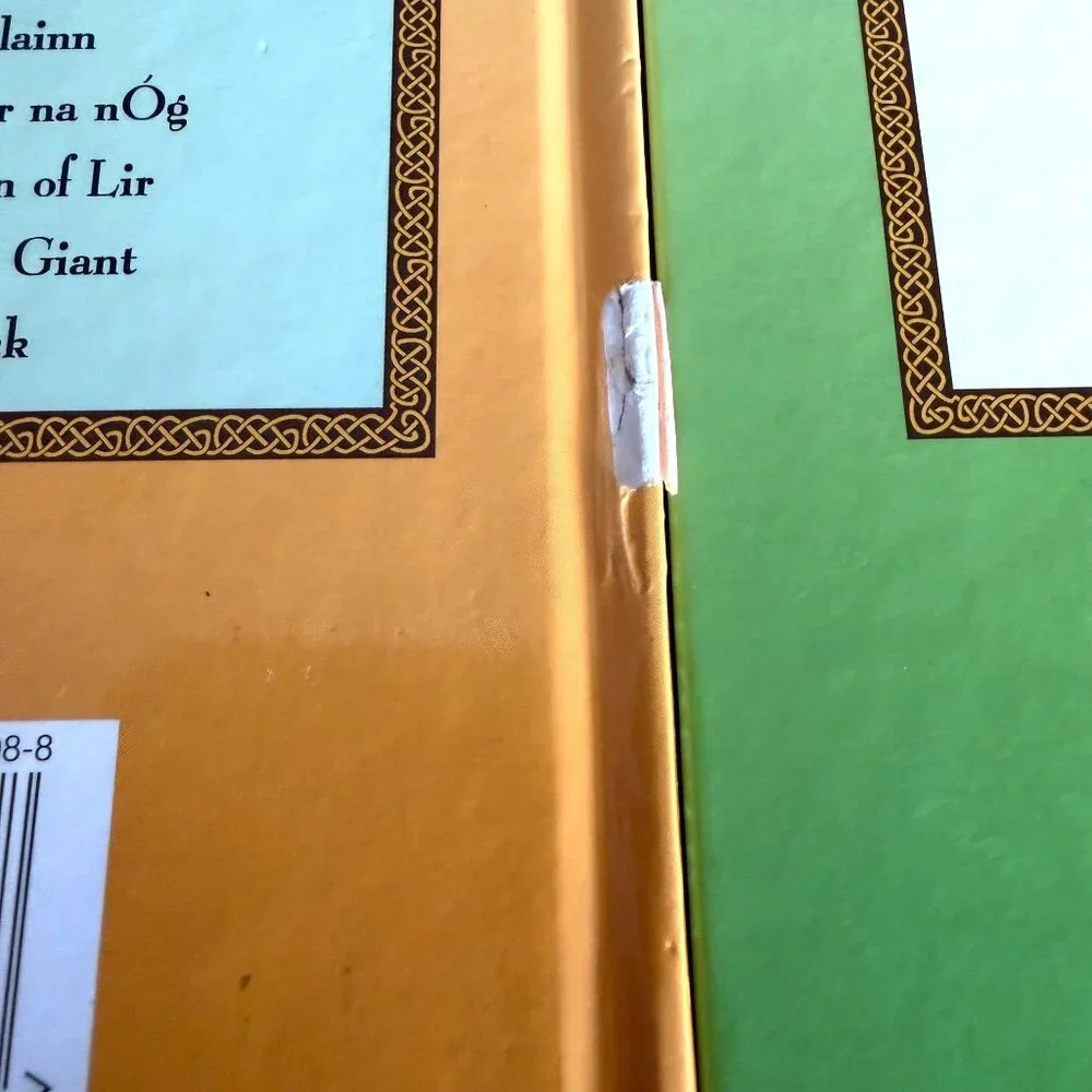 Irish Legends St Patrick Brigids Cloak Book Set Tarantula Childrens Folk History
